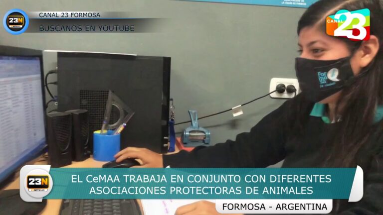 Asociaciones de Protección Animal en Los Barrios: Guía Completa