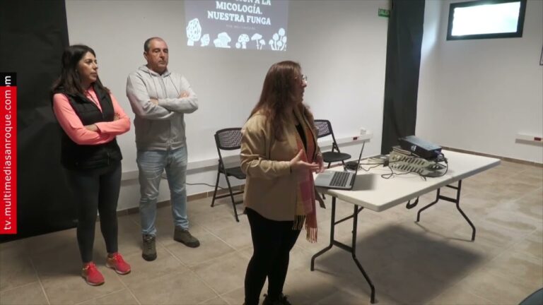 Ambiente en las Plazas de San Roque: Un An&aacute;lisis Detallado