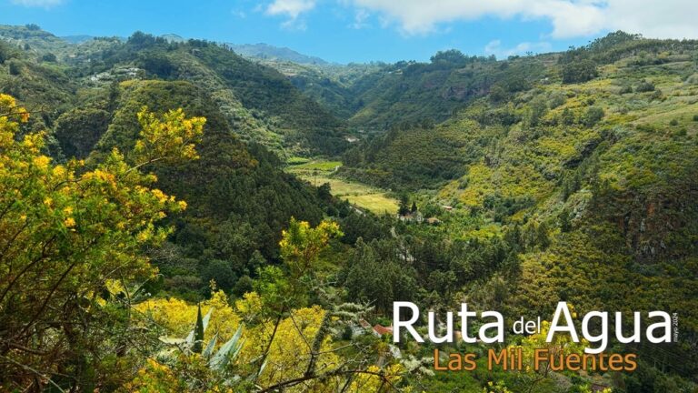 Las Mejores Zonas para Pasear en San Roque